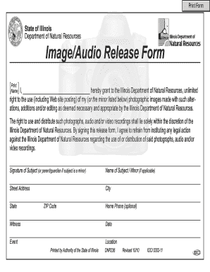 Illinois Image Audio Release Form