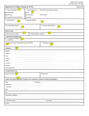 US Federal Assistance Application Form SF-424