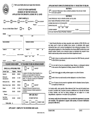 Form preview picture