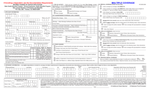Retired Change of Status Application