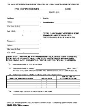 Petition for Juvenile Civil Protection Order