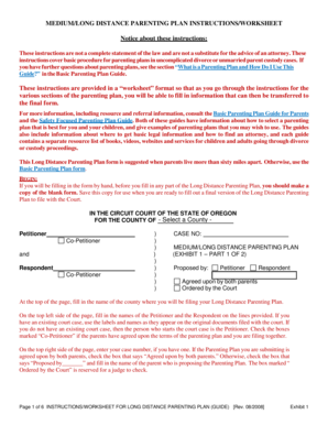 Long Distance Parenting Plan