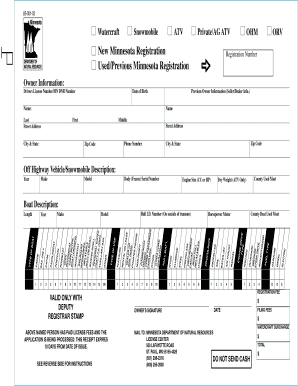 Form preview picture