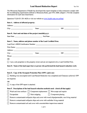 Lead Hazard Reduction Report