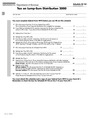 Minnesota Schedule M-1LS