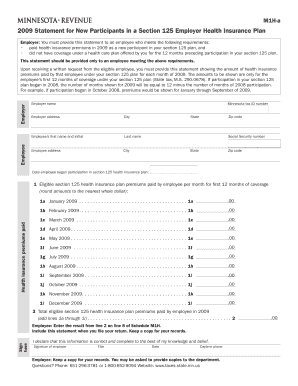 Minnesota Section 125 Health Insurance Statement