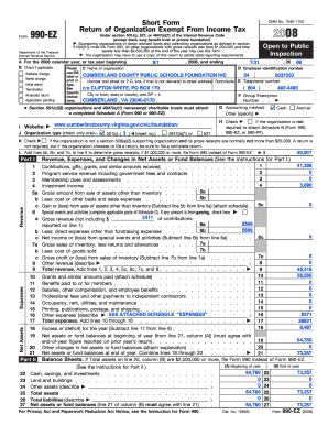 Form 990-EZ 2008
