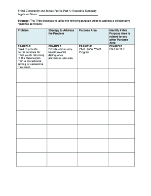 Executive Summary Template - US Department of Justice - justice