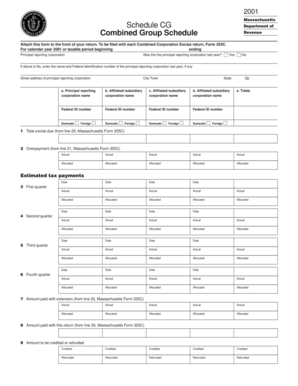 Massachusetts Schedule CG 2001
