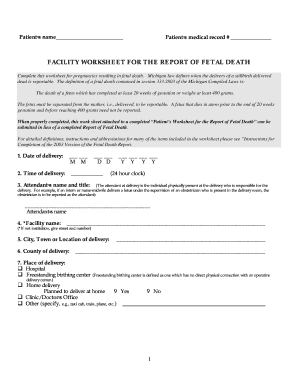 Michigan Fetal Death Report