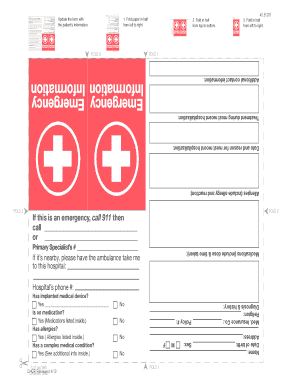 Form preview picture