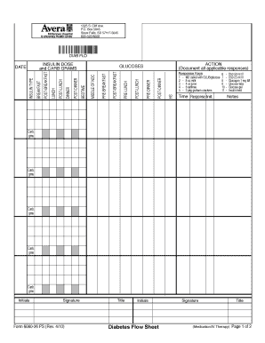 how to fill out glucose flow sheet form