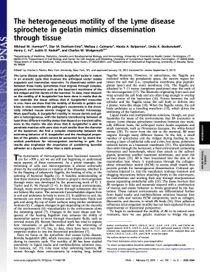 gelatin lyme form