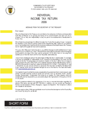 Puerto Rico Individual Income Tax Return 2009