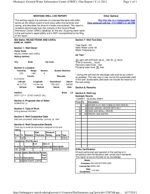 Form preview picture