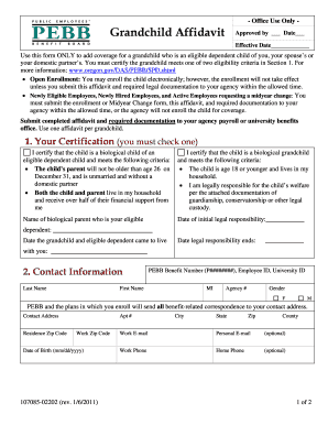 Grandchild Affidavit Form