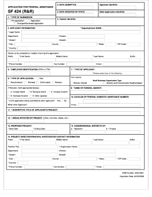 Application for Federal Assistance SF 424 (R&R)