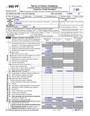 IRS Form 990-PF 2001