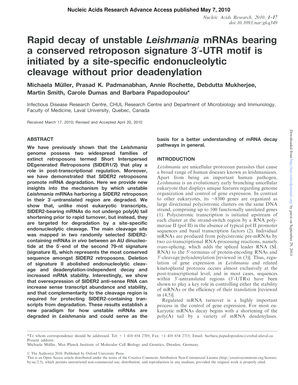 Rapid decay of unstable Leishmania mRNAs bearing a conserved - nar oxfordjournals
