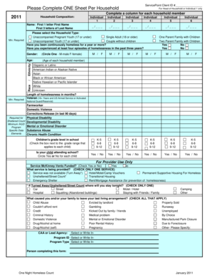 2011 Homeless Count Form