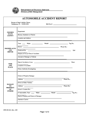 Florida Automobile Accident Report