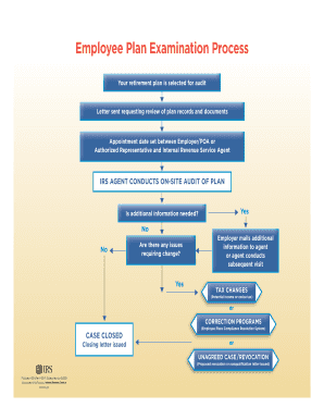 IRS Employee Plan Examination Process