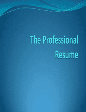 Professional fillable resume form