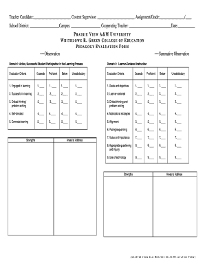 content supervisor evaluation form