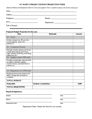 project budget form