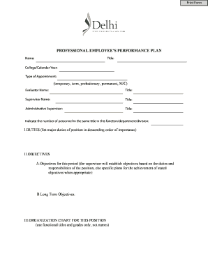 Professional Employee Performance Plan