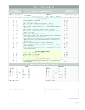 Kidney Staging Form