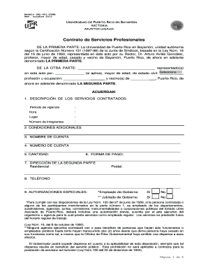 Professional Services Contract
