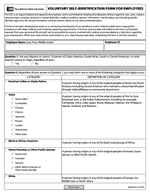 Voluntary Self-Identification Form