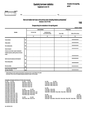 Quarterly Borrower Statistics Form