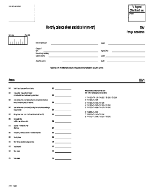 Monthly Balance Sheet Statistics Form