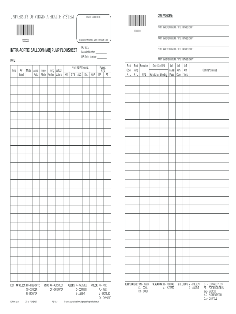 (iab) pump flowsheet - University of Virginia - virginia Preview on Page 1