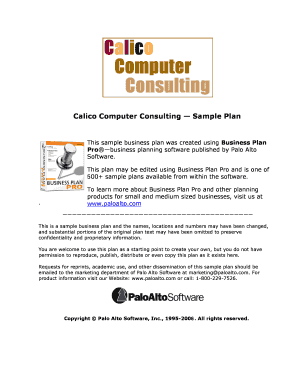 Calico Computer Consulting Sample Plan - Antreprenor.NET - csub