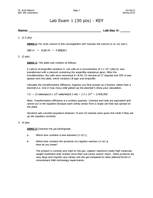 Form preview picture