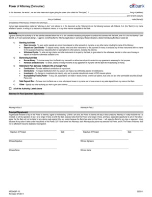 Power of Attorney Consumer Form