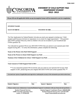Child Support Paid Statement Form