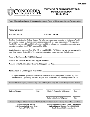 Statement of Child Support Paid Form