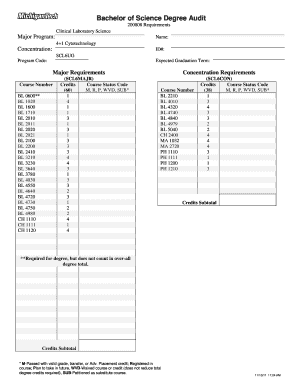 Bachelor of Science Degree Audit