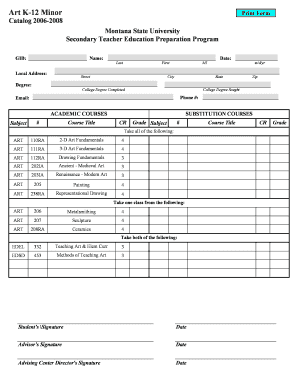 Montana State University Art K-12 Minor Form