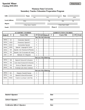 Form preview