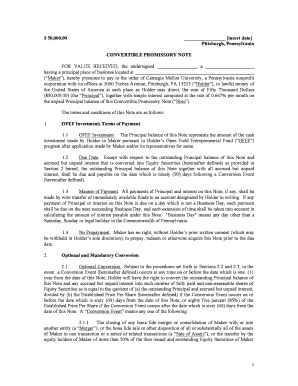 convertible promissory note