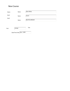 Form preview