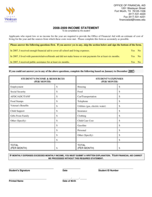 2008-2009 Income Statement