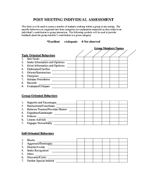 Post Meeting Individual Assessment Form