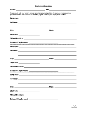 Employment Experience Form
