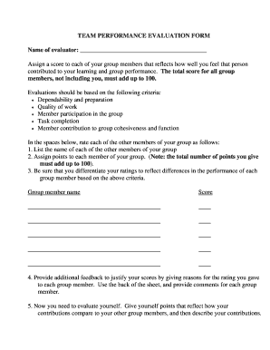 Team Performance Evaluation Form